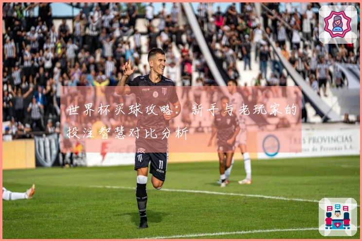 世界杯买球攻略：新手与老玩家的投注智慧对比分析