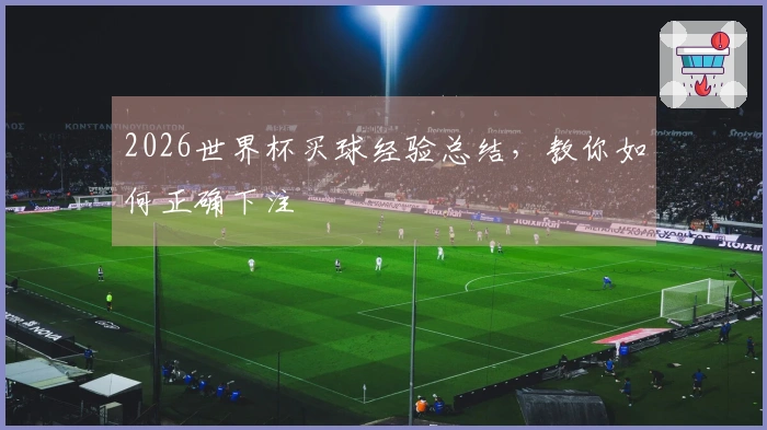2026世界杯买球经验总结，教你如何正确下注