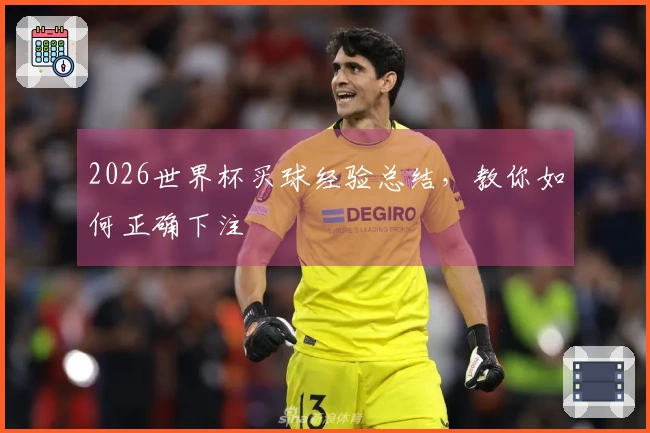 2026世界杯买球经验总结，教你如何正确下注