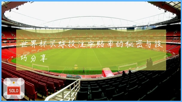 世界杯买球投注中赔率的秘密与技巧分享
