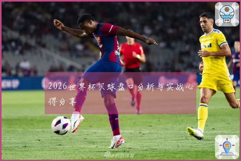 2026世界杯买球盘口分析与实战心得分享