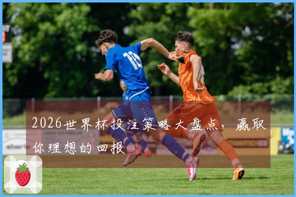 2026世界杯投注策略大盘点，赢取你理想的回报