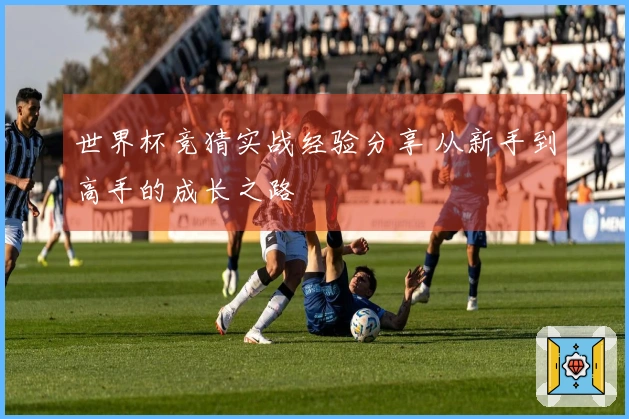 世界杯竞猜实战经验分享 从新手到高手的成长之路