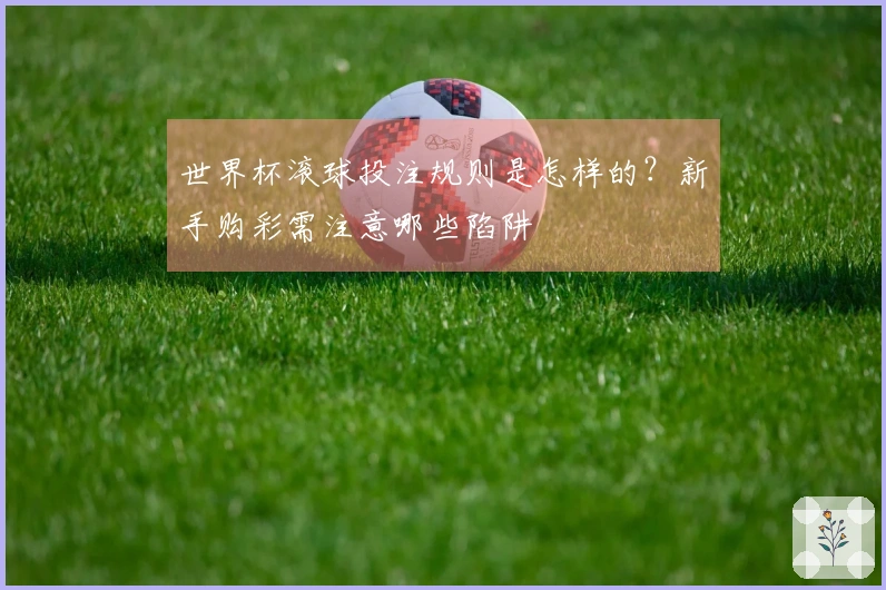 世界杯滚球投注规则是怎样的？新手购彩需注意哪些陷阱