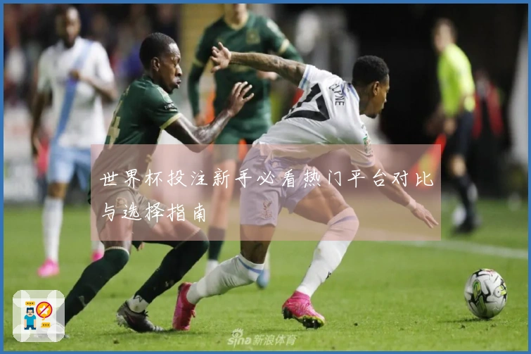 世界杯投注新手必看热门平台对比与选择指南