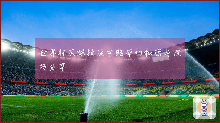 世界杯买球投注中赔率的秘密与技巧分享