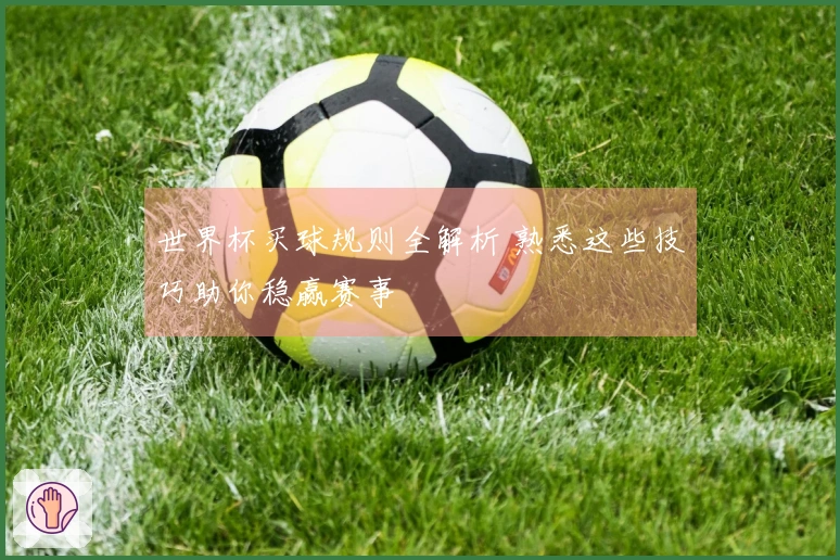 世界杯买球规则全解析 熟悉这些技巧助你稳赢赛事