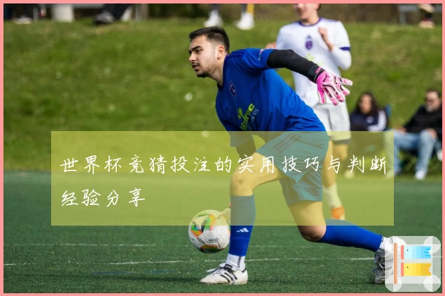 世界杯竞猜投注的实用技巧与判断经验分享
