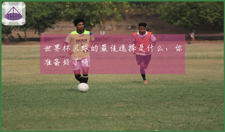 世界杯买球的最佳选择是什么，你准备好了吗