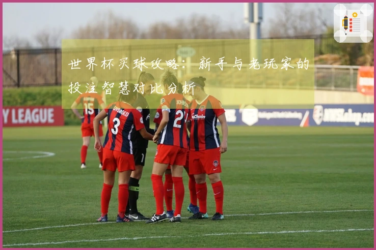 世界杯买球攻略：新手与老玩家的投注智慧对比分析